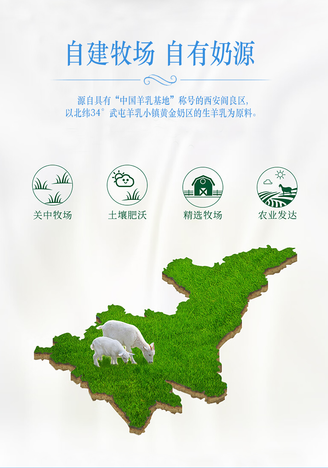 乡村羊详情页_03.jpg