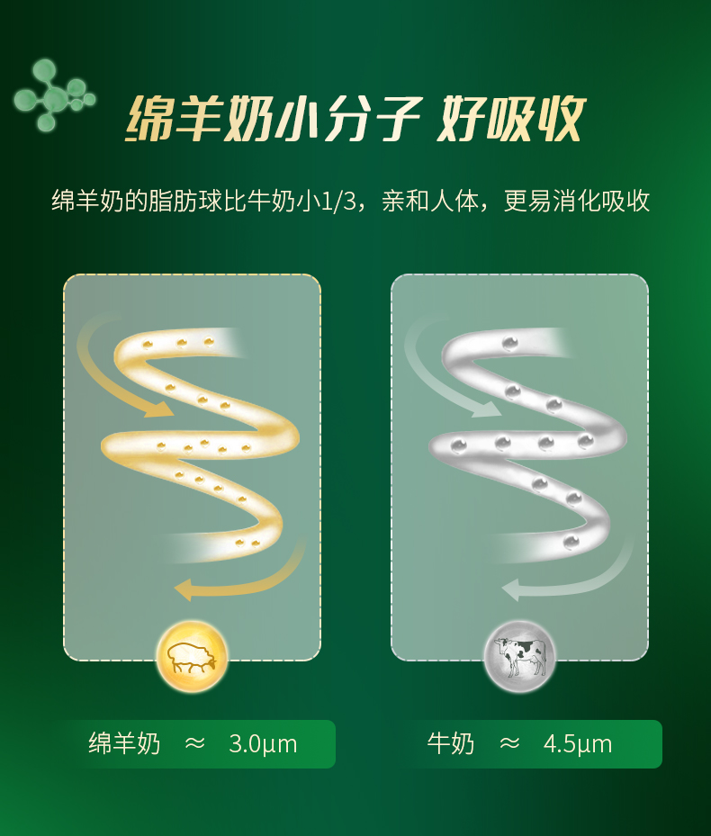 西谱绵羊奶详情2025-2_12.jpg