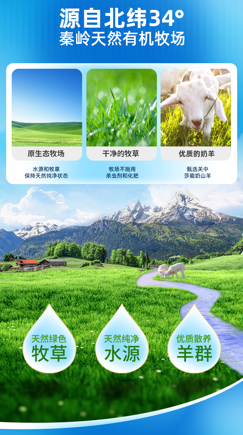 详情04.jpg