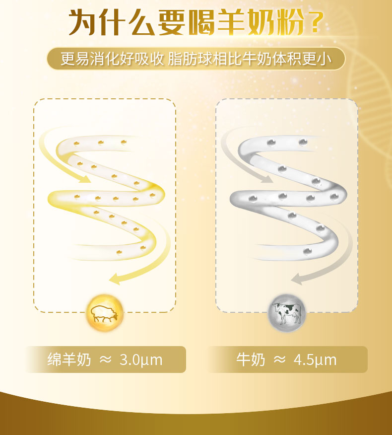 天赋宝儿详情_08.jpg